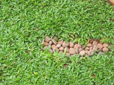 Texture Stock Photos