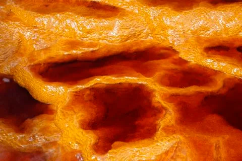 Texture Stock Photos