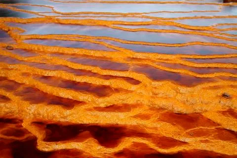 Texture Stock Photos