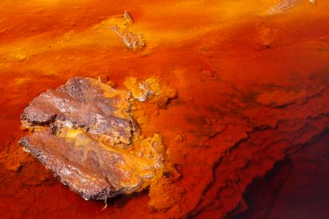 Texture Stock Photos