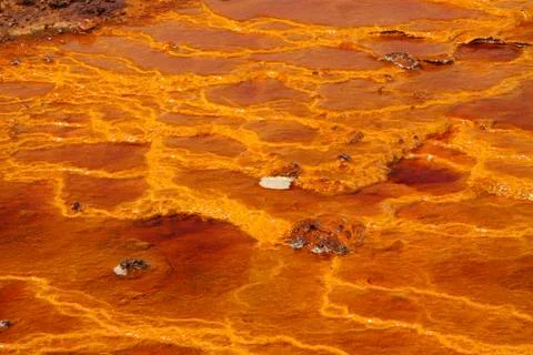 Texture Stock Photos