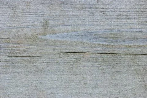 Texture. Stock Photos