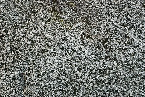 Texture. Stock Photos