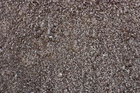 Texture. Stock Photos