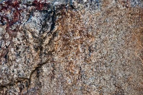 Texture. Stock Photos