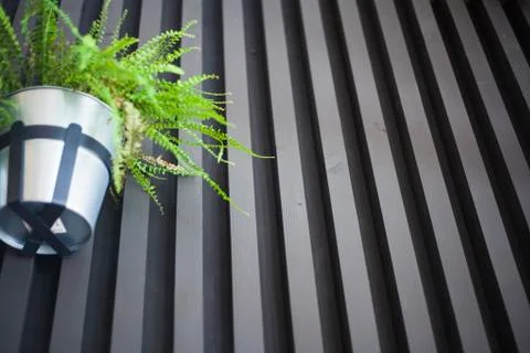 Texture Stock Photos