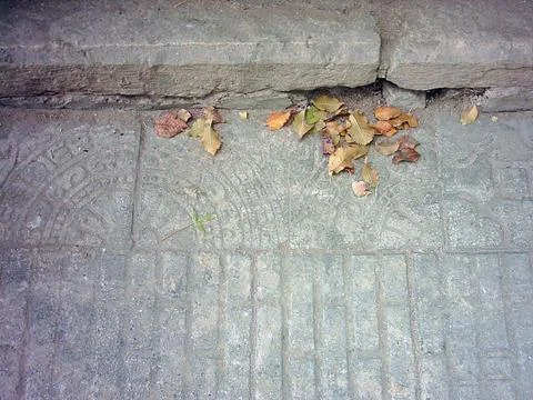 Texture Stock Photos