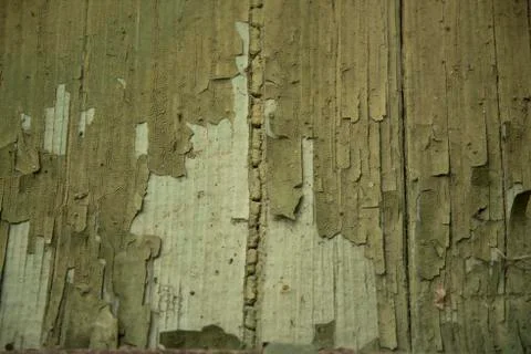 Texture Stock Photos