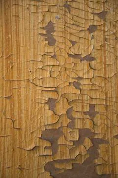 Texture Stock Photos