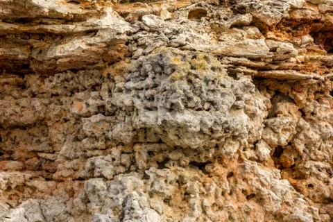 The texture Stock Photos