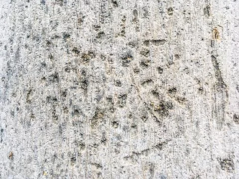 Texture Stock Photos