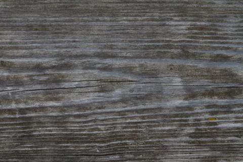 Texture Stock Photos