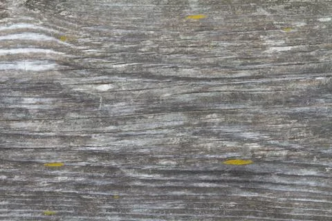 Texture Stock Photos