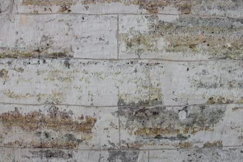 Texture Stock Photos