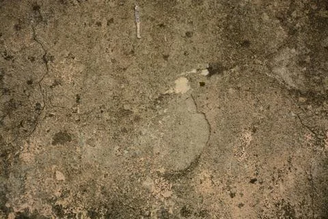 Texture  Stock Photos