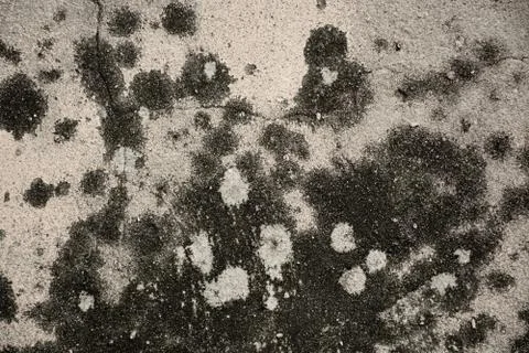 Texture  Stock Photos