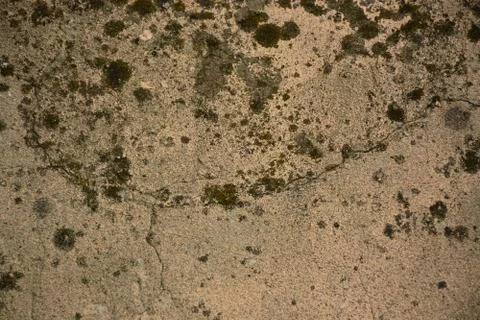 Texture  Stock Photos