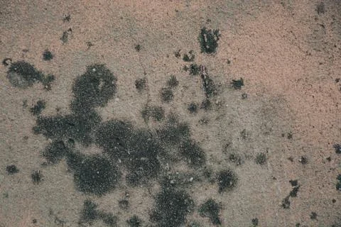 Texture  Stock Photos