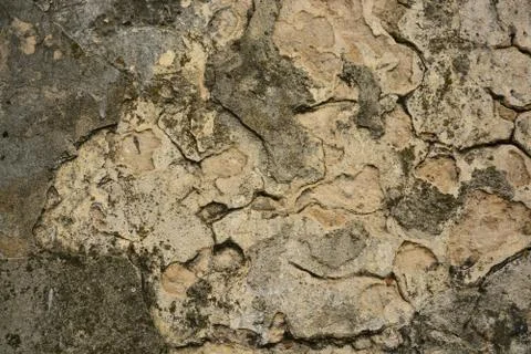 Texture Stock Photos