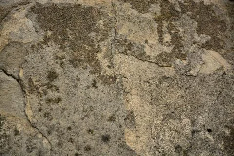 Texture  Stock Photos