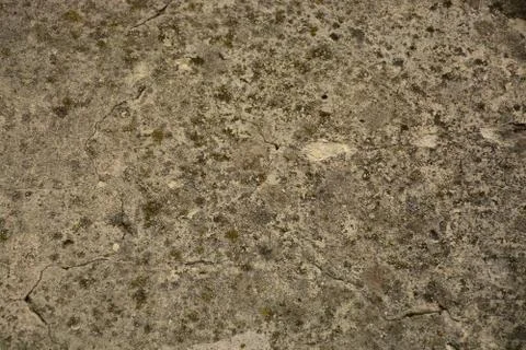 Texture  Stock Photos