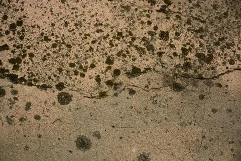 Texture  Stock Photos