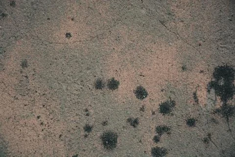 Texture  Stock Photos