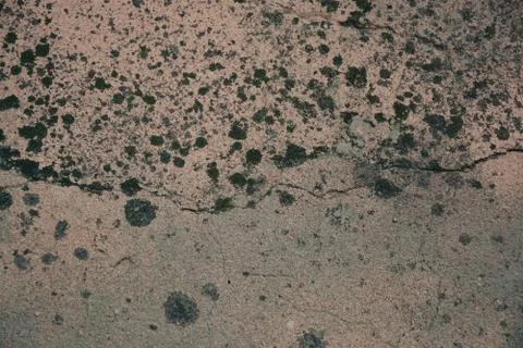 Texture  Stock Photos