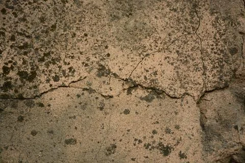 Texture  Stock Photos