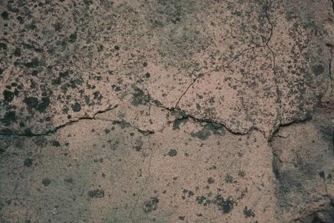 Texture  Stock Photos