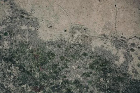 Texture  Stock Photos