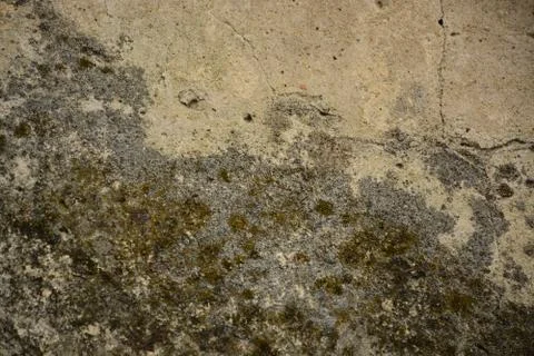 Texture  Stock Photos