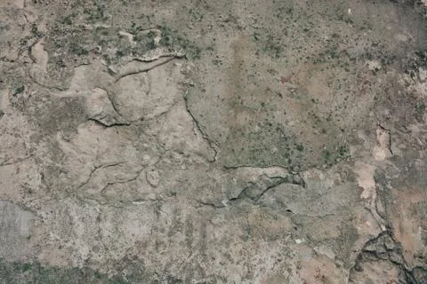 Texture  Stock Photos