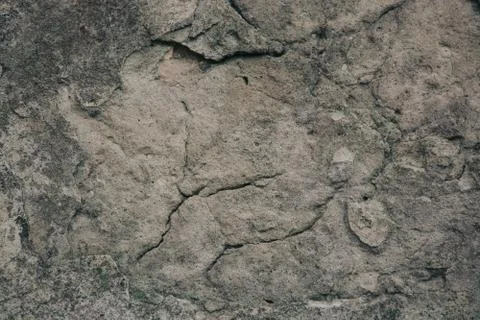 Texture  Stock Photos