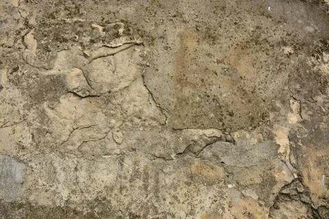 Texture  Stock Photos