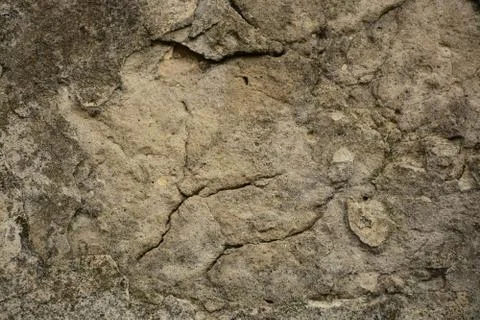 Texture  Stock Photos