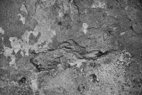 Texture  Stock Photos