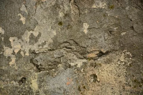 Texture  Stock Photos