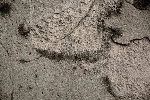 Texture  Stock Photos