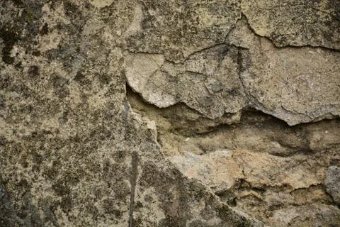 Texture  Stock Photos