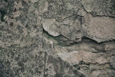 Texture  Stock Photos