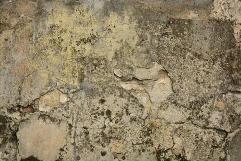 Texture  Stock Photos