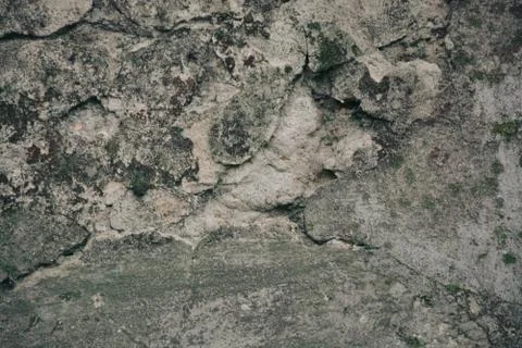 Texture  Stock Photos