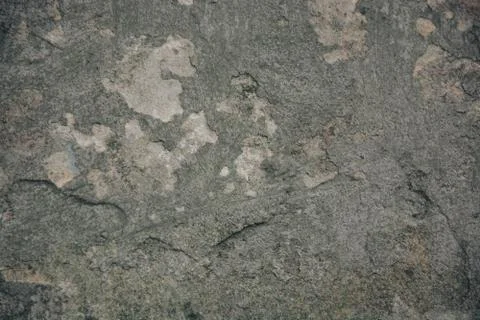 Texture  Stock Photos