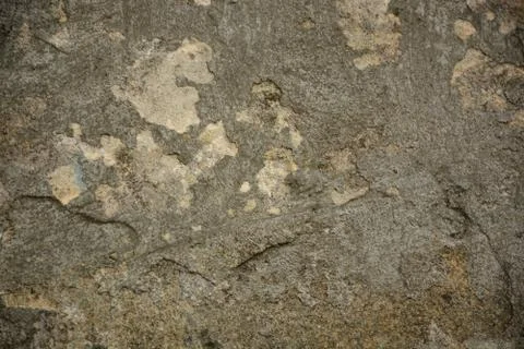 Texture  Stock Photos