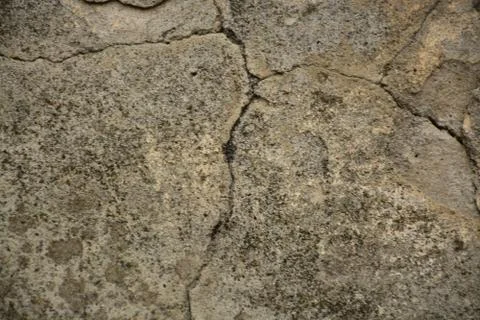 Texture  Stock Photos