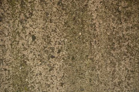 Texture Stock Photos