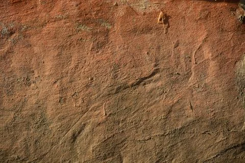 Texture Stock Photos