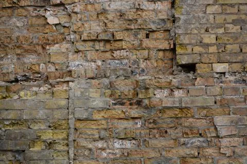 Texture Stock Photos