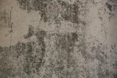 Texture Stock Photos